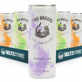 Two Brooks - Hard Seltzer Mixed Case - 12