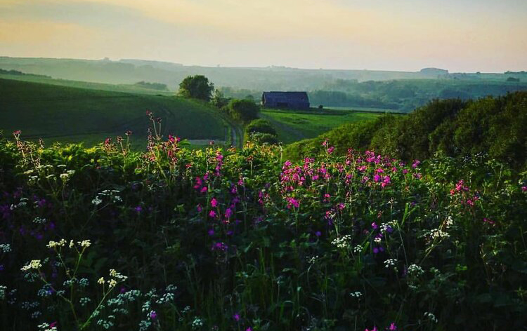 British Countryside